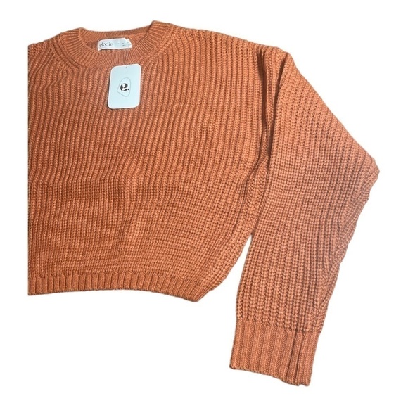 𝅺elodie Crewneck Cropped Sweater in RUST - Picture 5 of 11